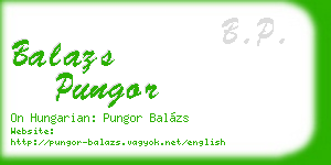 balazs pungor business card