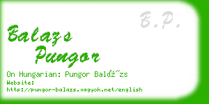 balazs pungor business card